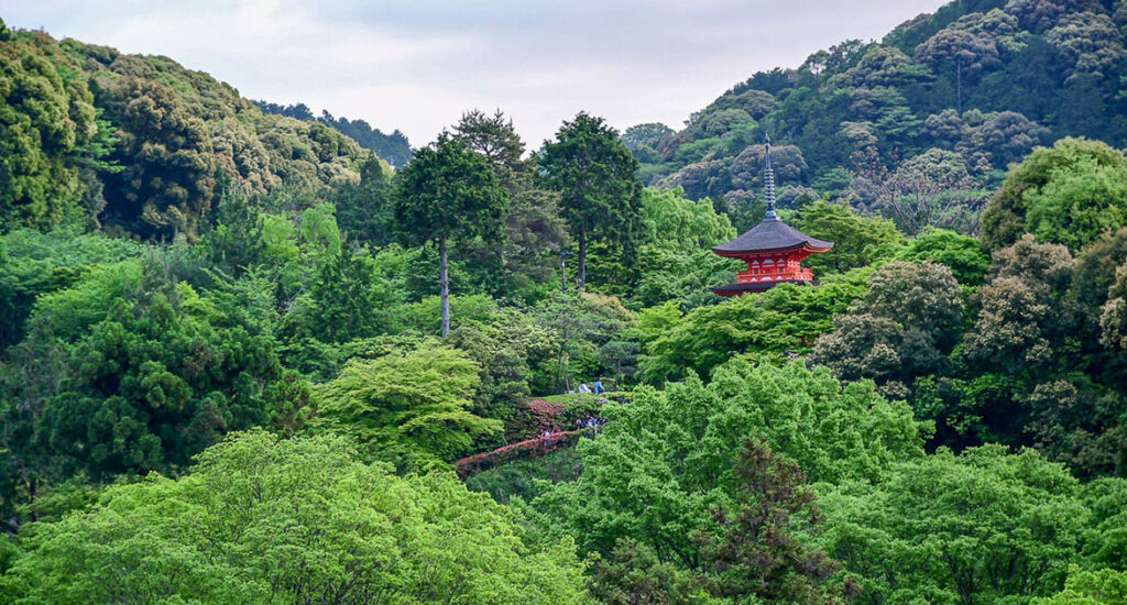 6 étapes pour préparer son voyage au japon