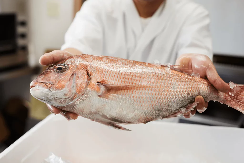 poissons les plus utilisés dans les sushis